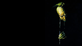 movie, Apocalypse Now HD wallpaper
