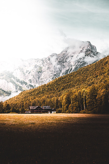 Nature, Mountains, Forest, House, Lawn HD phone wallpaper
