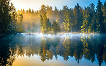 Lake in Finland at dawn, sky, forest, mist, trees, water, reflections HD wallpaper