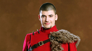 Viktor Krum, Transformation, Harry Potter series, Character evolution HD wallpaper