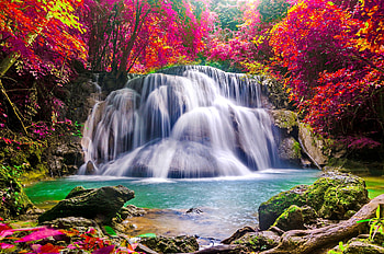 Beautiful forest waterfall, forest, colorful, exotic, cascades, waterfall, trees, beautiful HD wallpaper