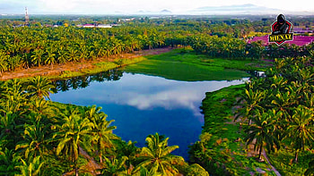 Lake 1, tyrelaudzg Most user, tructiepngoaihanganh, tedipyhich, titibird, teametal7, tinaudathaolienka, thebunny99 HD wallpaper