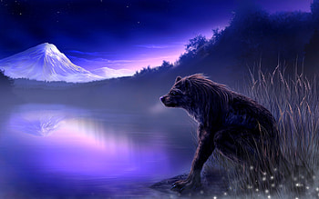 NIGHT OF THE WEREWOLF, werewolves, fog, magic, jackal, wolf, lake, mountain HD wallpaper
