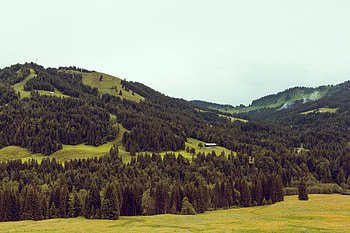 Nature, Trees, Mountains, Elevation HD wallpaper