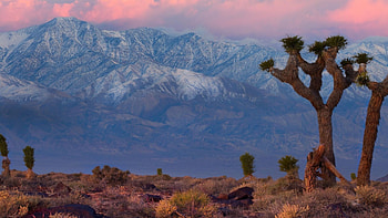 Death Valley National Park, Nature , Landscape graphy HD wallpaper