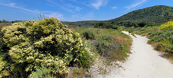 Hiking in Greater San Diego County – Landscape graphy, Southern California, California, landscape, hiking, graphy, nature HD wallpaper