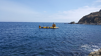 Yellow Submarine @ Avalon, Yellow, Submarine, Ocean, Islands, Catalina, Avalon HD wallpaper