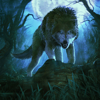 Art, Grin, Predator, Wolf, Aggressive HD phone wallpaper