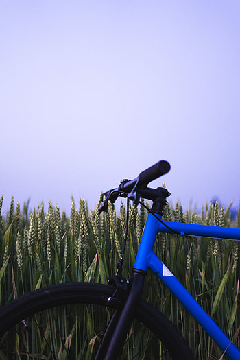 Sky, Miscellanea, Miscellaneous, Ears, Steering Wheel, Rudder, Bicycle, Spikes HD phone wallpaper