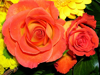 ***, ik, ki, m, n, uj HD wallpaper