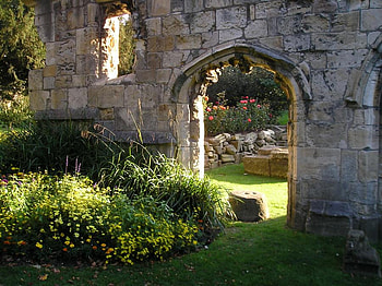 secret garden, door, plants, garden, wall, flowers, secret HD wallpaper