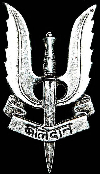 Balidaan Logo, Balidan HD phone wallpaper