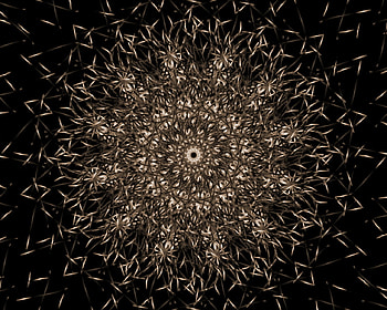 arabesque 3, star, abstract, 3d, arabesque, sepia, flowers, textures HD wallpaper