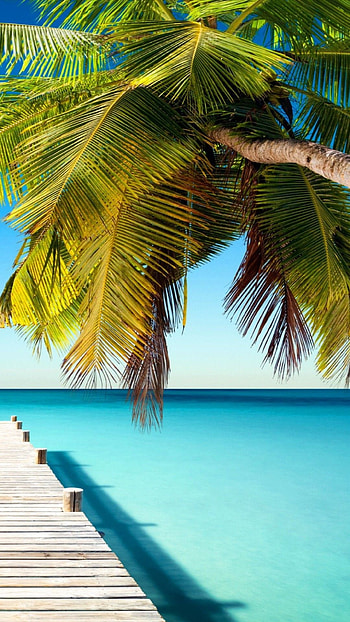 Turks and Caicos, Travels, Summer vibes, Tropical paradise HD phone wallpaper