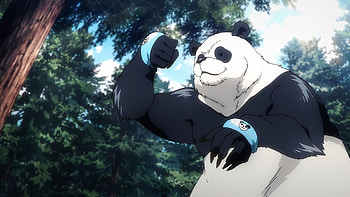 Panda, Jujutsu Kaisen HD wallpaper