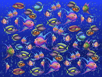 FANTASY FISH, colors, kinds, fish, animals HD wallpaper