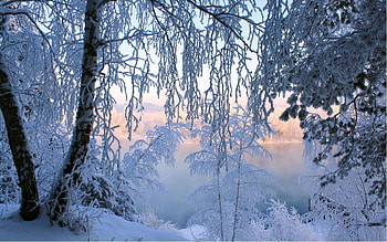 Landscape, Winter HD wallpaper