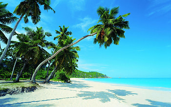 Nature, Sea, Beach, Shadow, Tropics HD wallpaper