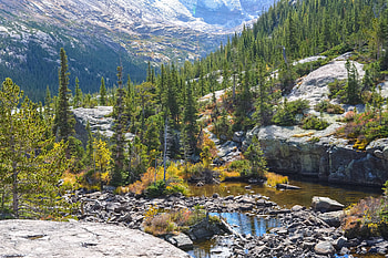 Colorado, fun, cool, nature, forest, mountain HD wallpaper