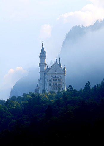 Nature, Lock, Forest, Fog, Tower, Palace HD phone wallpaper