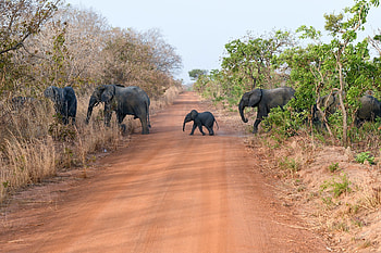 Burkina Faso travels, Burkina Faso travel guide, 2022 travelguide HD wallpaper