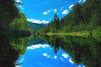 Reflection, quiet, clouds, sky, nature, water, forest, lake HD wallpaper