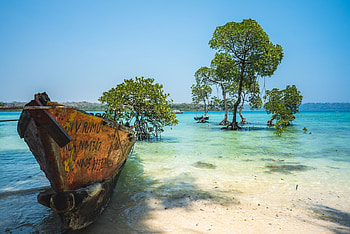 Andaman travel quiz, Island getaway, Veena World HD wallpaper
