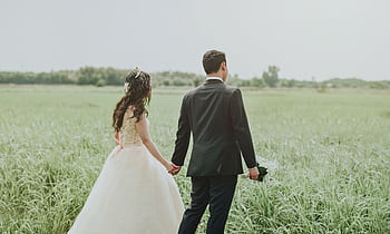 Couple holding hands in a serene field, perfect wedding hoot moment. HD wallpaper
