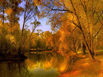 Lake in autumn, reflection, fall, trees, colors, autumn, sky, water, lake HD wallpaper