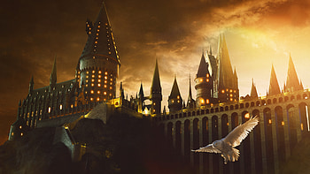 Magical Harry Potter: Ultra Adventure, movie, Harry Potter HD wallpaper