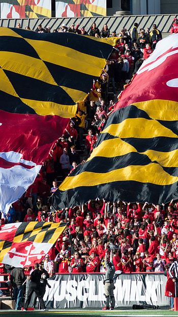 Maryland Terrapins college football , University pride, Sports , College football background HD phone wallpaper