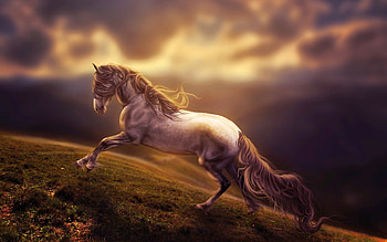 Amazing Horse Art, horse, artist, digital-art HD wallpaper