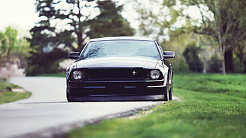 Ford, Mustang, Cars, Ford Mustang Shelby Gt500, Shelby Gt500 HD wallpaper