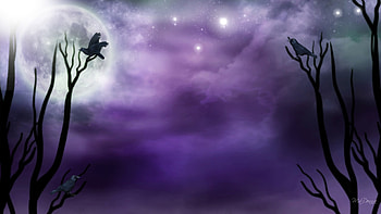 Purple Moonlight, full moon, winter, birds, firefox persona, stars, mist, raven, clouds, trees, sky HD wallpaper