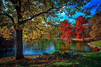Early autumn in park, colorful, fall, beautiful, lake, park, early, reflection, trees, autumn, pond HD wallpaper