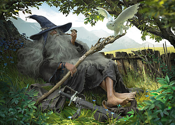 The Mage, bird, man, gandalf, wizard, owl, fantasy, nage, bufnita, luminos, pasari, alex negrea, hat HD wallpaper