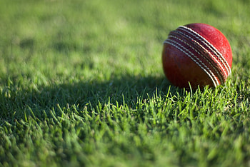 Cricket , High-quality , Easy access, Convenient HD wallpaper