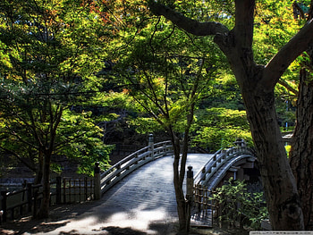 Taikobashi Bridge, tokyo bridge, japanese bridge, scenic bridge HD wallpaper