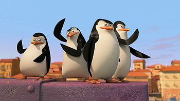 Penguins of Madagascar , Animated film characters, Funny penguins, Action-packed adventure HD wallpaper