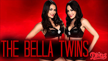 WWE: The Bella Twins - HD wallpaper