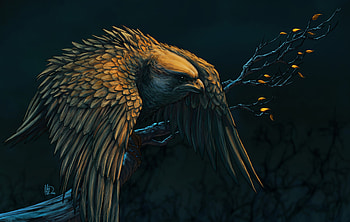 Art, Bird, Branch, Hawk HD wallpaper
