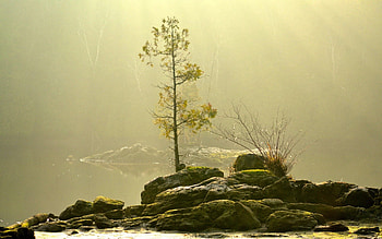 Nature, Grass, Stones, Sky HD wallpaper