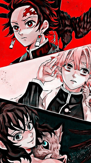 Team Tanjiro, Zenitsu, Inozuke HD phone wallpaper