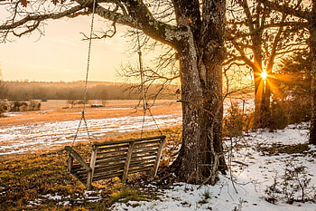 Winter Sun, winter, clouds, sky, nature, sun HD wallpaper