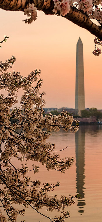 Washington theme, Mobile backgrounds, Customizable screens HD phone wallpaper