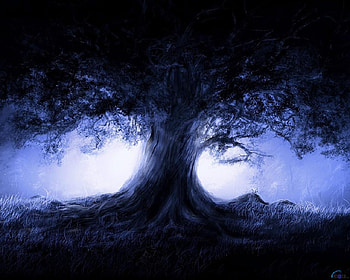 oak, landscape, nature, ocean, tree HD wallpaper
