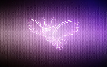 Owl, Vector, Pokemon, Pokémon, Noctowl HD wallpaper