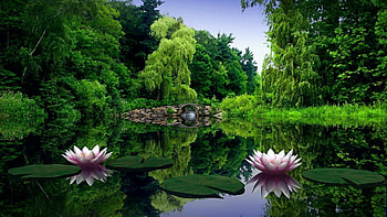 Preview water lilies, water, leaves, pond, bridge, trees, beauty HD wallpaper
