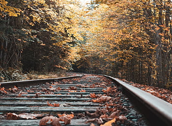 Rustic railway tracks surrounded by vibrant autumn foliage at Shawnigan Lake, BC. HD wallpaper