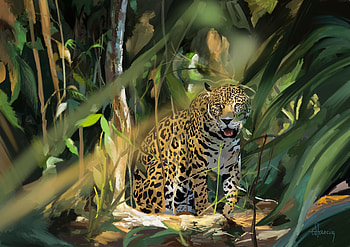 Art, Leopard, Predator, Big Cat HD wallpaper